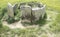 Dolmen of Cerca del Marco, Magacela, Extremadura. Spain