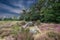 Dolmen D38, Valtherbos municipality of Emmen in the Dutch province of Drenthe is a Neolithic Tomb