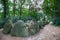 Dolmen D43, Westenesch municipality of Emmen in the Dutch province of Drenthe is a Neolithic Tomb