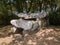 Dolmen de Roch-Feutet near Carnac in Britanny