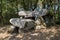 Dolmen de Roch-Feutet near Carnac in Britanny