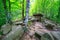 Dolmen at the forest ancient prehistoric building