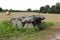 Dolmen of Kerangre - megalithic monument in Erdeven, Britany