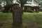 Dolmen of Keriaval 3500 BC | Four chamber dolmen