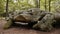 Dolmen La Grosse Pierre, megalithic structure in Normandy, PAN