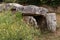 Dolmen Mane Rutual, Locmariaquer, Brittany