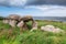 Dolmen over the Chanel on Millau island in Brittany