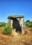 Dolmen Pedra da Orca em Gouveia