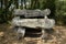 Dolmen of  Roch-Feutet near Carnac in Britanny