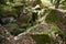 Dolmen ruins covered by moss