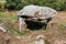 Dolmen Run-er-Sinzen - megalithic monument near Erdeven, Brittany