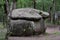 Dolmen in Shapsug. Forest in the city near the village of Shapsugskaya, sights are dolmens and ruins of ancient civilization