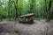 Dolmen in Shapsug. Forest in the city near the village of Shapsugskaya, sights are dolmens and ruins of ancient civilization