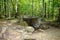 Dolmen in Shapsug. Forest in the city near the village of Shapsugskaya, sights are dolmens and ruins of ancient civilization