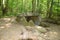 Dolmen in Shapsug. Forest in the city near the village of Shapsugskaya, sights are dolmens and ruins of ancient civilization