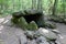 Dolmen in Shapsug. Forest in the city near the village of Shapsugskaya, sights are dolmens and ruins of ancient civilization