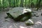 Dolmen in Shapsug. Forest in the city near the village of Shapsugskaya, sights are dolmens and ruins of ancient civilization