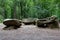 Dolmen Sonian woods forest, Tervuren, Brussels, Belgium