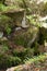 Dolmen stones covered by moss