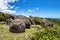 The Dolmen trail of the Prayer, Dolmen da Oracao in Morro da Galheta, Florianopolis, Brazil