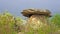 Dolmens buit in stone age