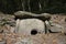 Dolmens in the forest near Krasnaya Polyana, Sochi, Russia. On a clear day on October 26, 2019