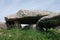 Dolmens and Menhirs of Carnac (Bretagne, France)