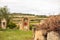 Dolmens among vineyard in Rioja, Spain