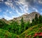 Dolomite peaks, Rosengarten