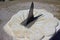 Dolomite Sundial with iron Needle