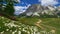 Dolomites, Italy. Alpine landscape with flowers, green meadow and mountains. Falzarego Pass in summer. Camera moving