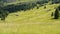 Dolomites, Italy. A perspective of the ground`s colors and shapes. Agricultural grass fields cut. Relaxing context