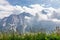 Dolomites peaks covered with fog in the foreground meadow with alpine flowers.