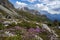 Dolomites in September. Passo Giau area