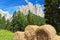 Dolomiti - alpine pasture