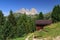 Dolomiti - Sassolungo mount from Fassa Valley, Italy