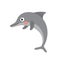 Dolphin animal cartoon character vector illustration