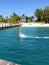 Dolphin Bahamas