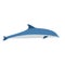 Dolphin blue mammal art graphic symbol vector icon. Animal sea aquarium show illustration side view
