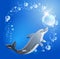 Dolphin and bubbles