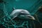 A dolphin caught in a fishing net. Generative AI