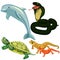 Dolphin cobra snake turtle set. vector illustrations