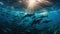 Dolphin Delight: Annie Leibovitz\\\'s Exquisite Underwater Portrayal