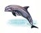 Dolphin, Delphinidae, aquatic mammal