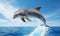 The dolphin gracefully leaped into the water, creating a beautiful arc in the air