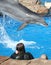 Dolphin Interaction