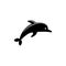 Dolphin Jumped, Sea Animal Silhouette. Flat Vector Icon illustration. Simple black symbol on white background. Dolphin Jumped, Sea