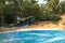 A dolphin is jumping from out the blue water near the beach. Tropical, lagoon, travel