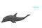 Dolphin jumping out of water animation element. Illustration of dolphin performing an acrobatic jump in the ocean. Great