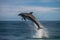 dolphin jumping out of the water in graceful leap